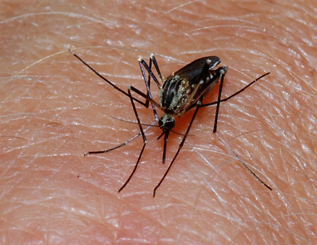 Novel noninvasive test for malaria does not require a blood sample