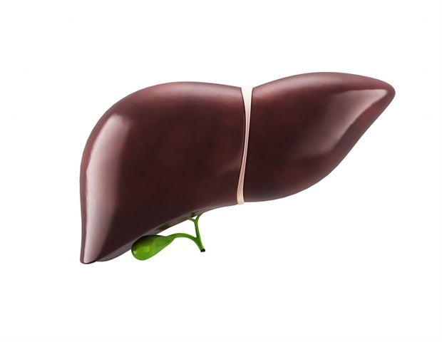 Elevated pressure in the bile canaliculi alters structure of the liver tissue