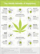 What Everyone Else Does When It Comes to Medical Marijuana and What You Need to Do Different