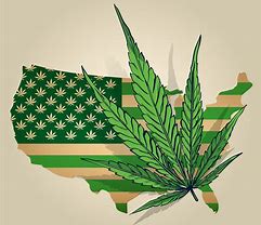 Choosing Marijuana Legalization – Relationship Development and Transformation