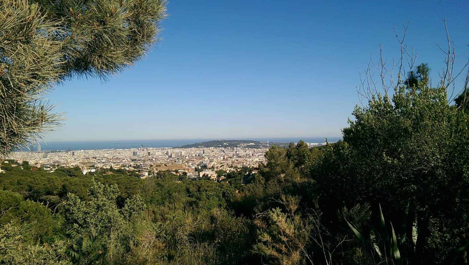 View of a town from above with the ocean in the background. In the foreground is green trees.