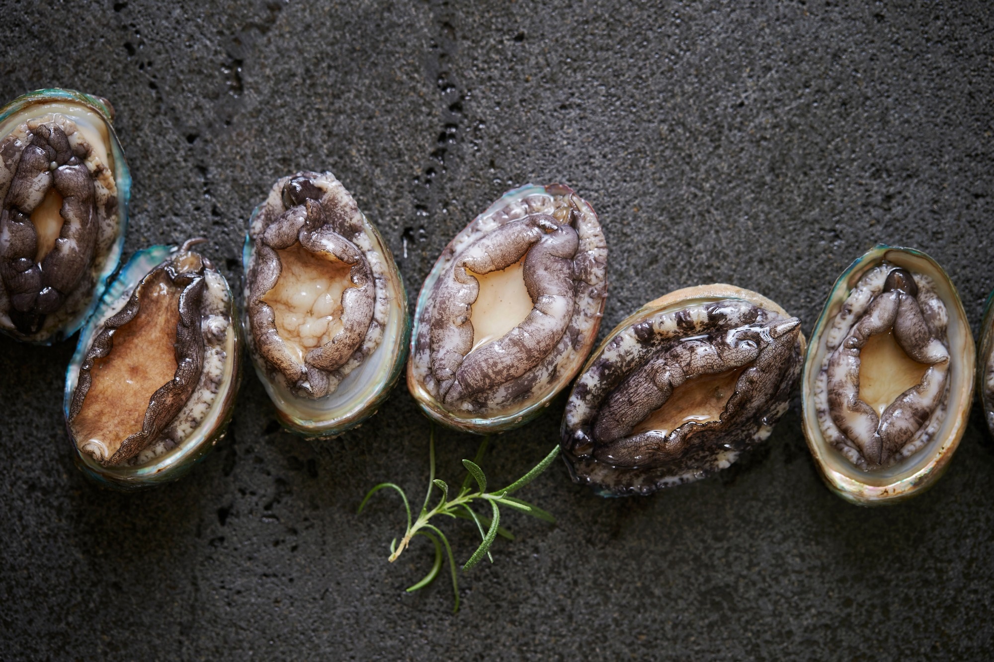 How abalone viscera peptides could be the next big thing in medicine