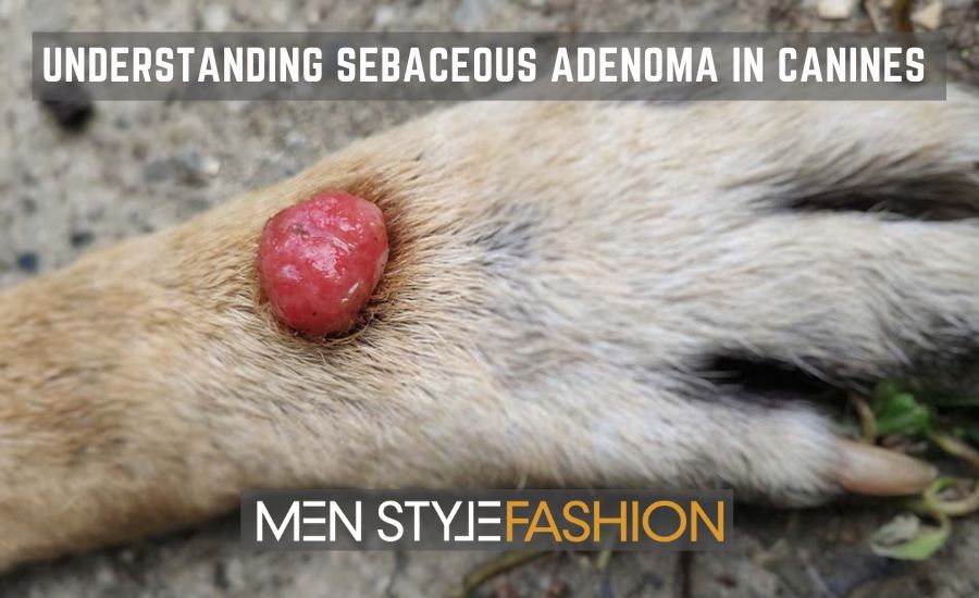 Understanding Sebaceous Adenoma in Canines