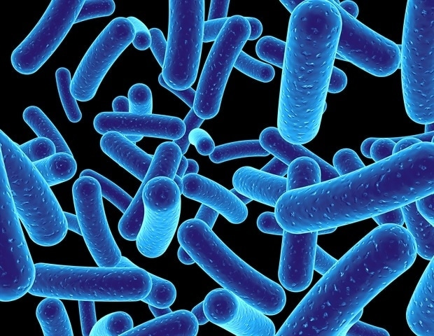 Heat shock protein protects bacteria from plasma treatment