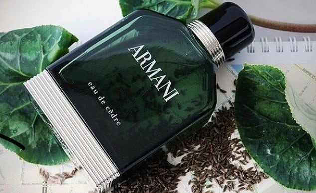 6 Best Pine Colognes For Men – Fresh and Woody Scents For 2023