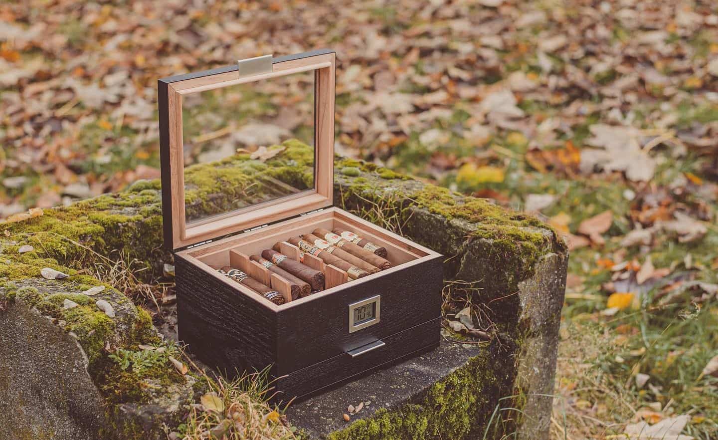 7 Best Cigar Humidors To Keep Things Fresh in 2023
