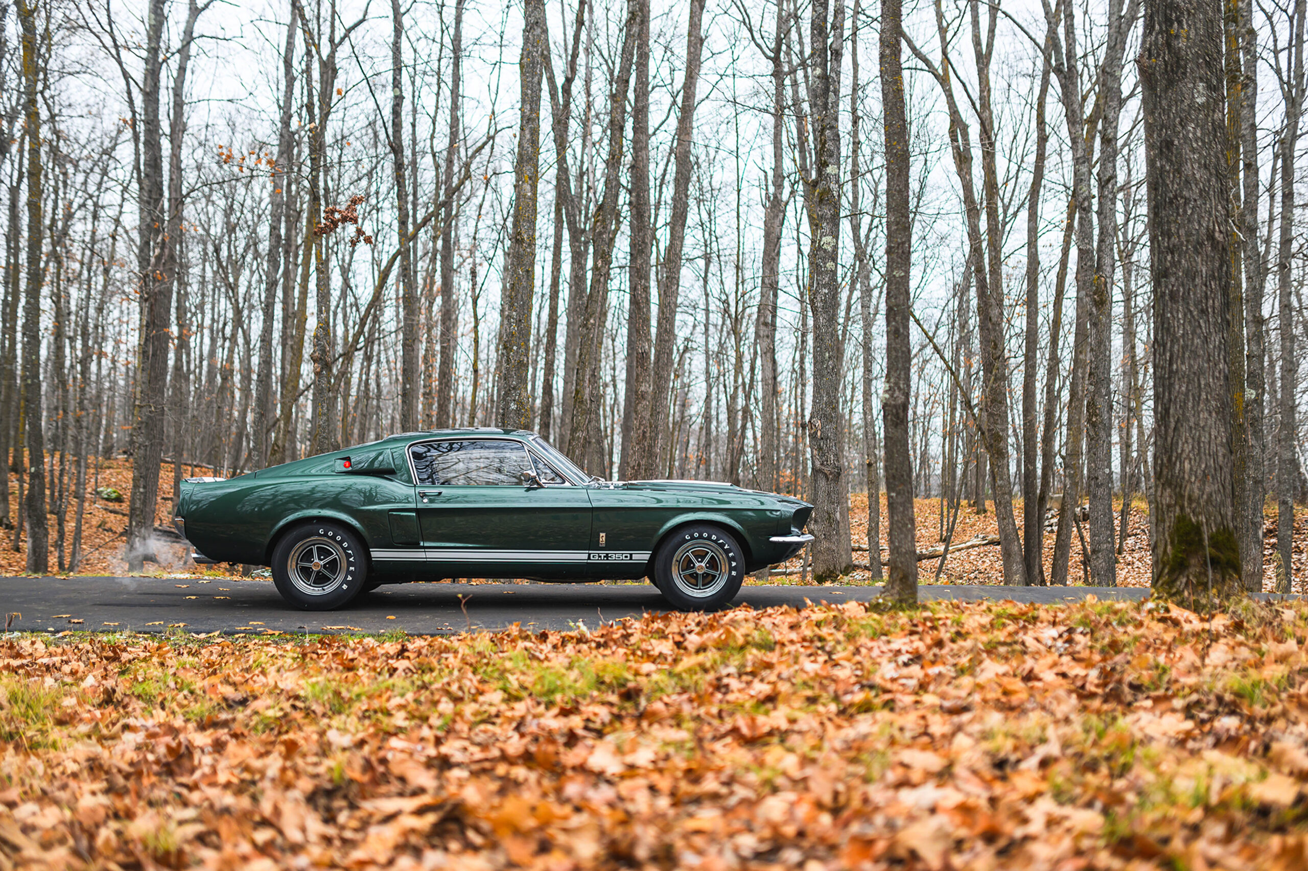 1967 Shelby GT350 Fastback | The Coolector