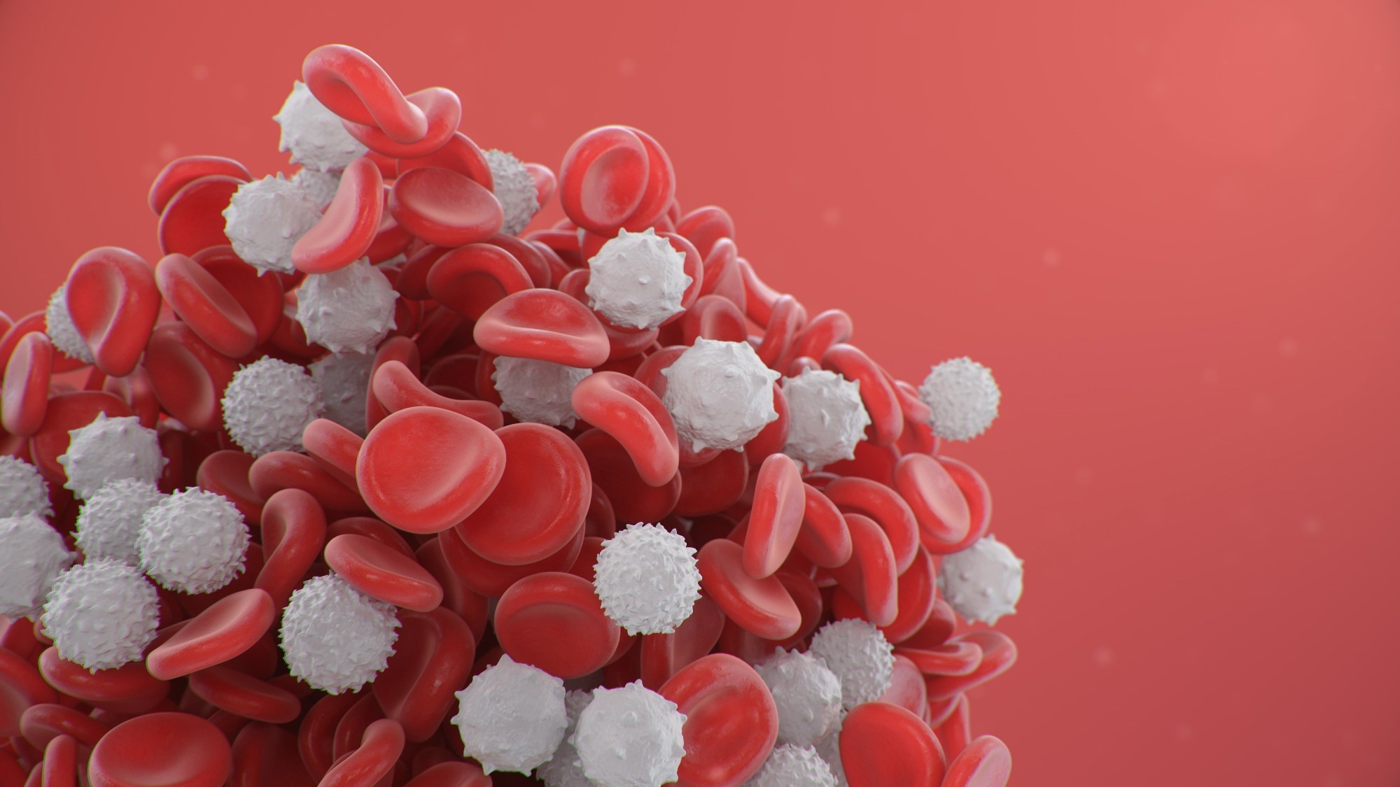 Small-molecule A485 mobilizes white blood cells on demand