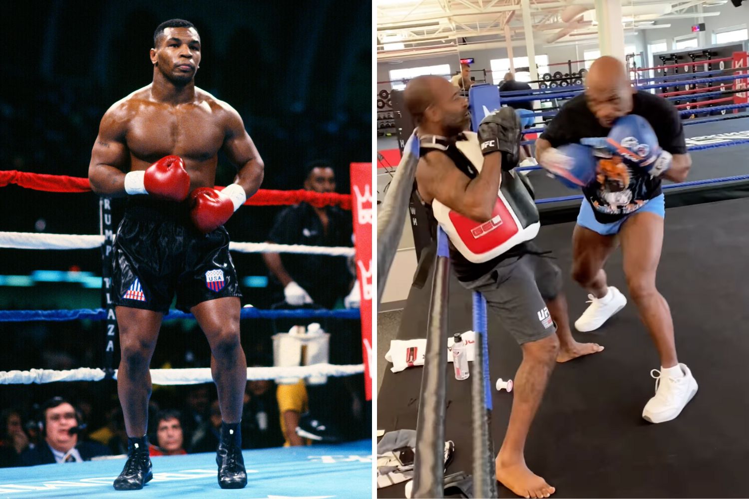 Mike Tyson Proves He Still Packs A Serious Punch In Recent Sparring Video Sports