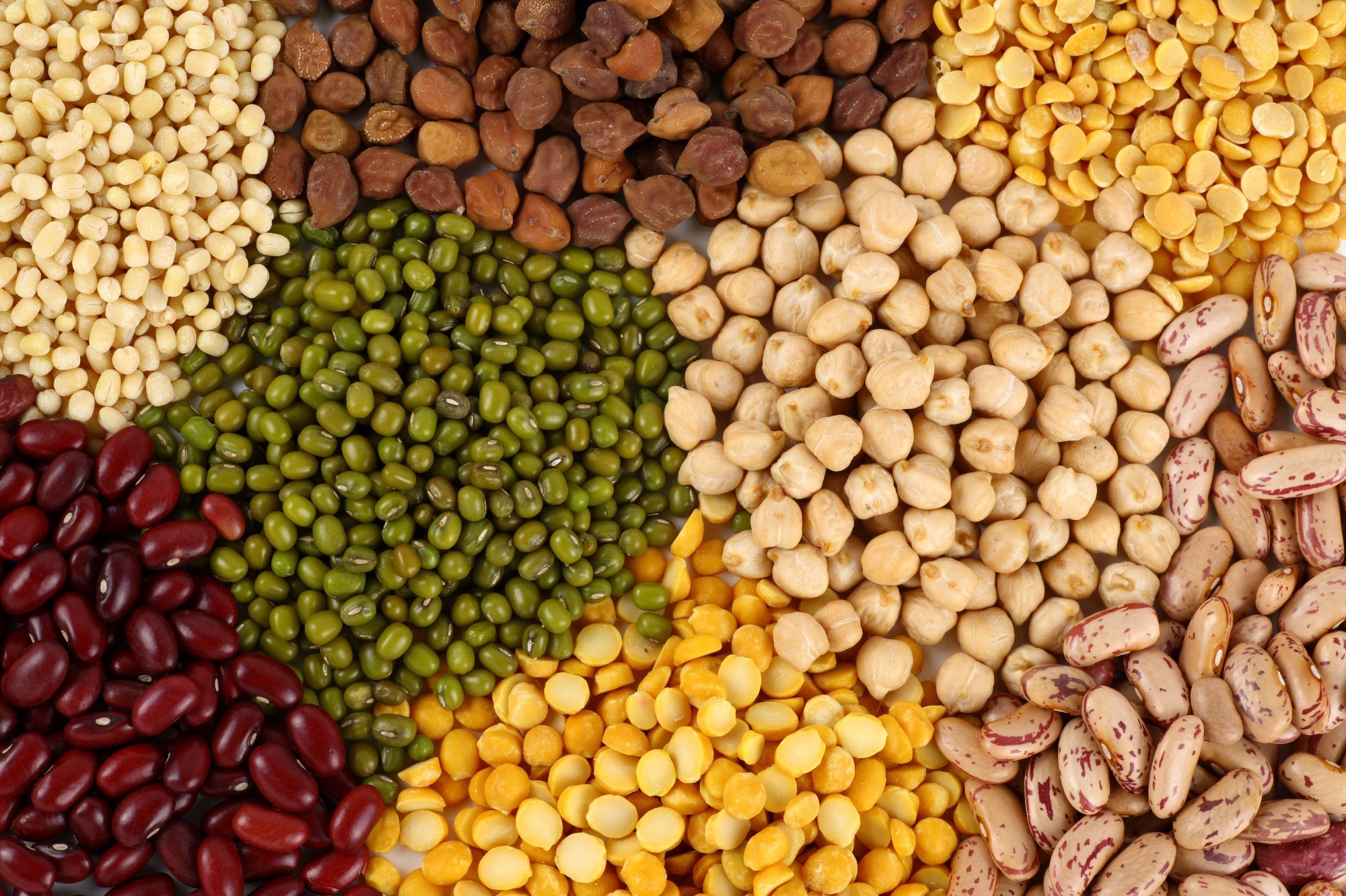 Study finds plant proteins improve rest, animal proteins may disrupt