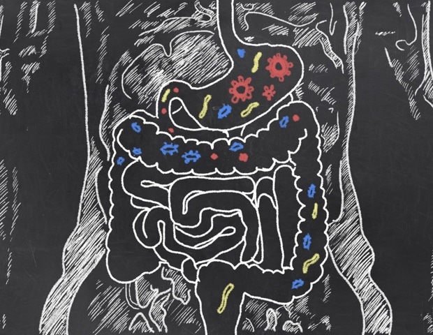 Boosting butyrate-producing gut bacteria lowers hospitalization rates for infections