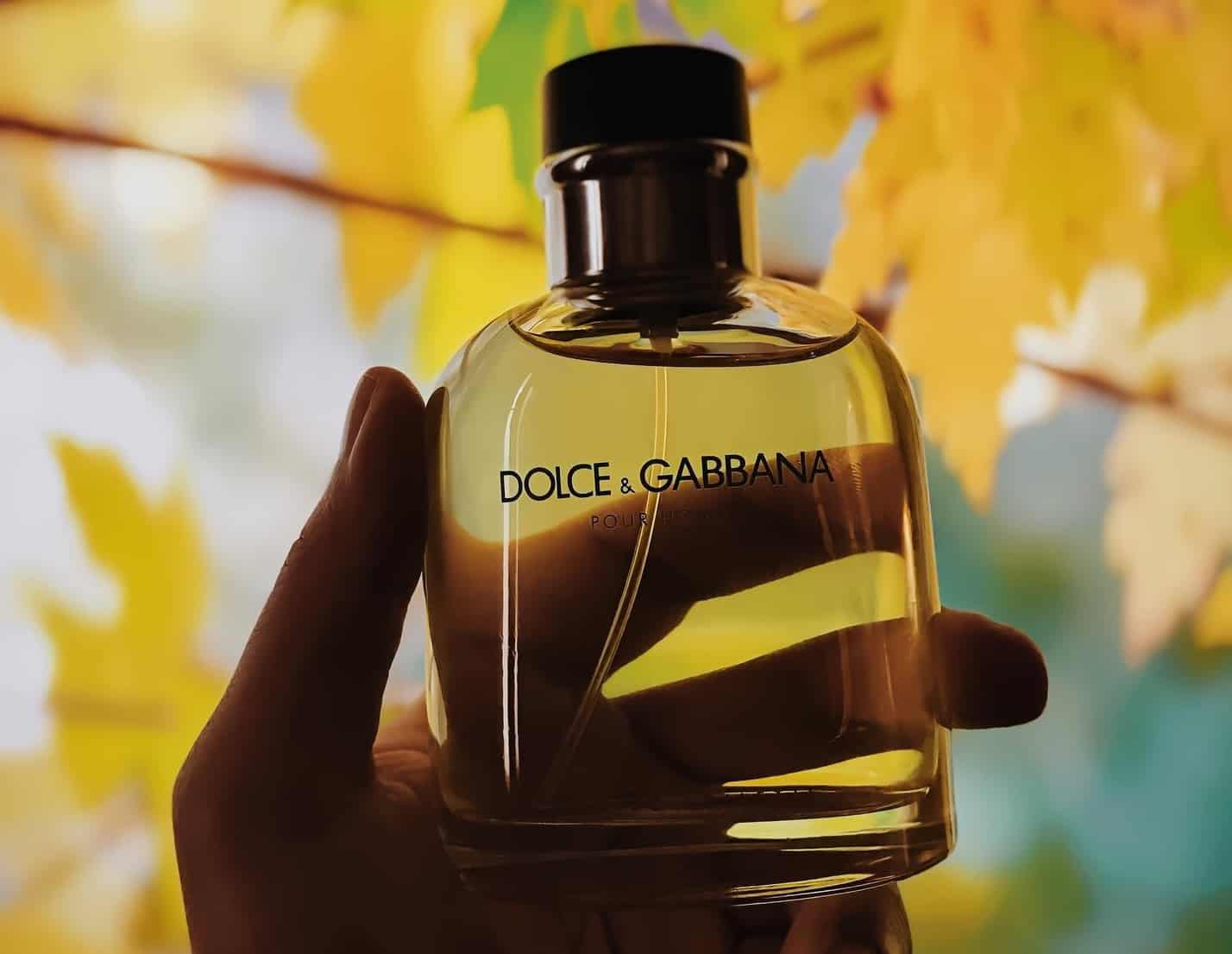 8 Best Dolce and Gabbana Colognes and Perfume For Men 2024