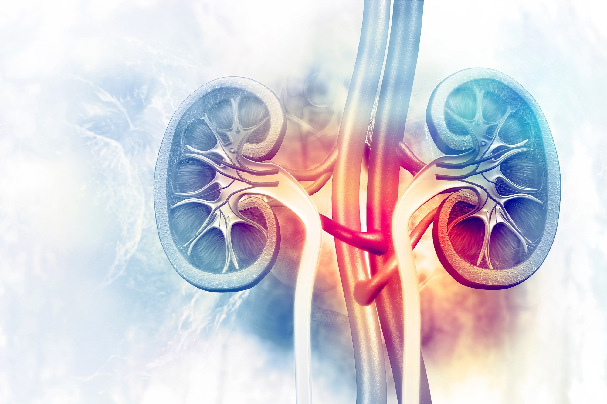 New model predicts kidney injury risk in cancer patients on cisplatin