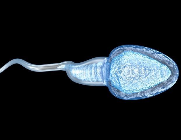 Cancer risk elevated in families with male infertility