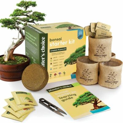 Planter's Choice Bonsai Starter Kit