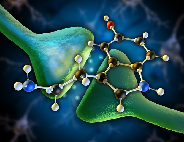Serotonin 2C receptor in the brain regulates memory in people and animal models, research shows