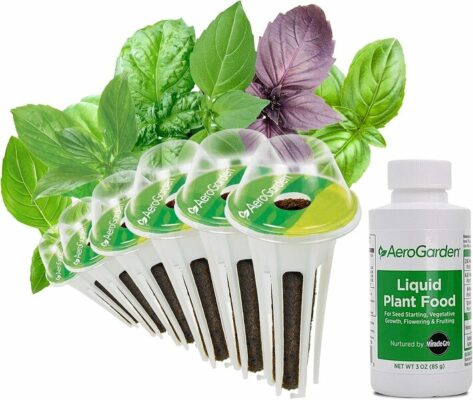 AeroGarden International Basil Seed Kit