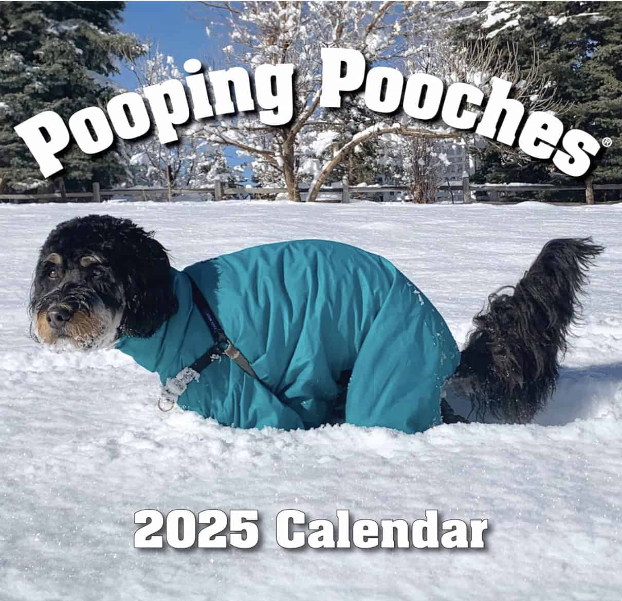 Pooping Pooches 2025 Calendar