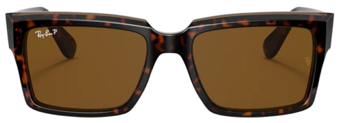 Ray Ban Inverness Sunglasses