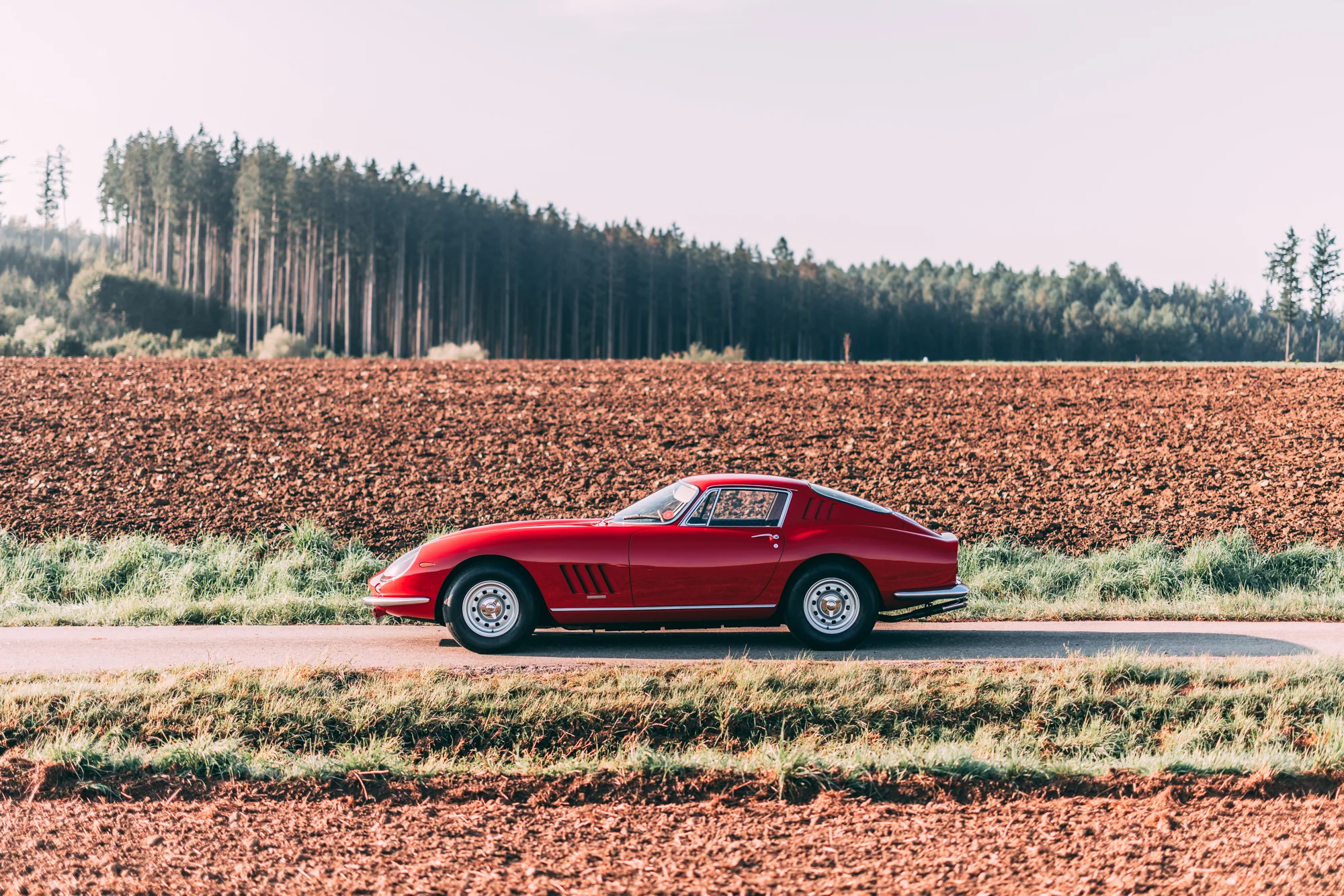 Unbridled Elegance: The 1966 Ferrari 275 GTB Long Nose from Schaltkulisse