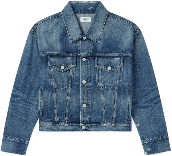 Agolde Dorian Denim Jacket