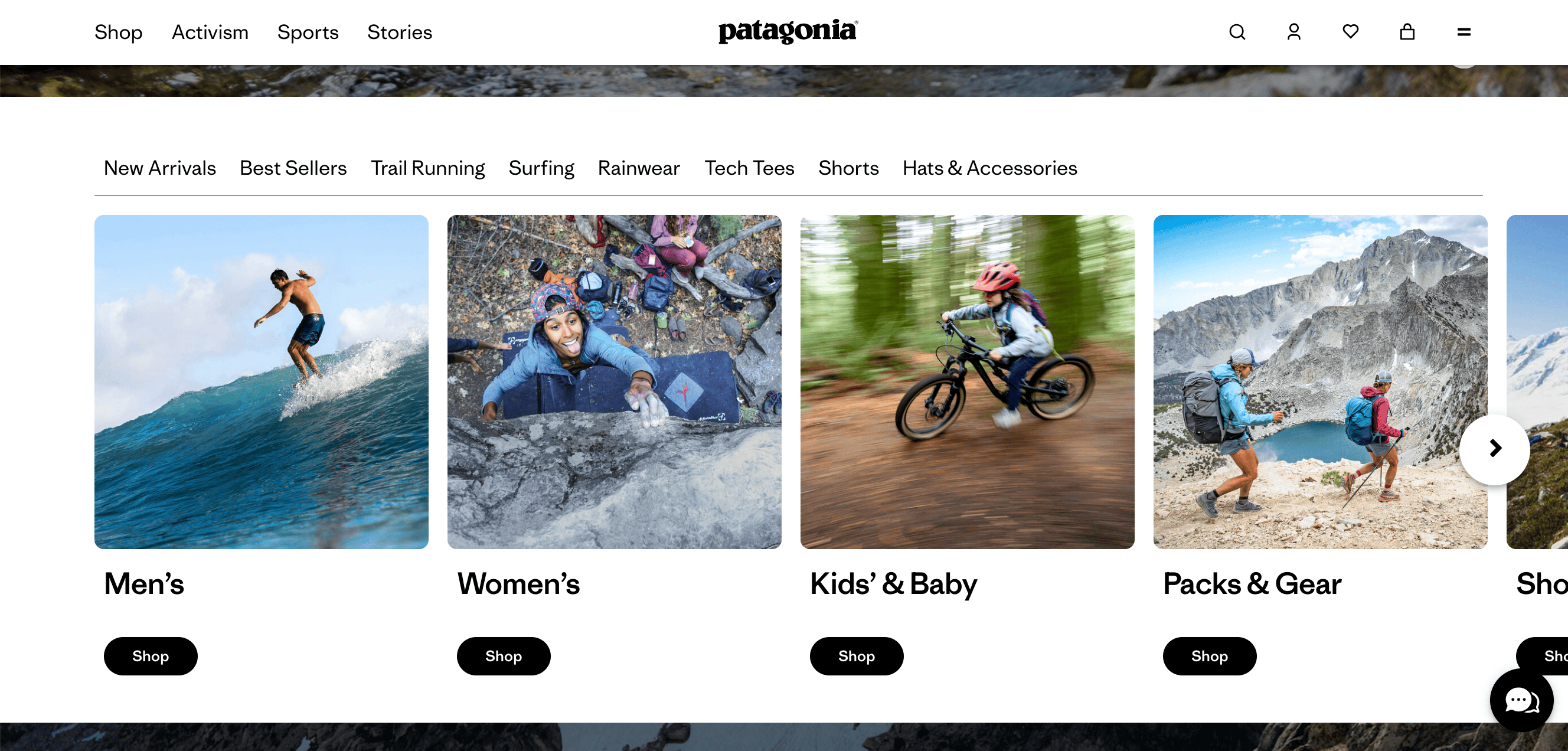 Patagonia homepage, showing different categories 