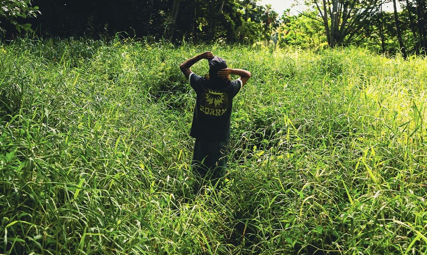 Best new arrivals from the Roark Spring/Summer 26 Collection