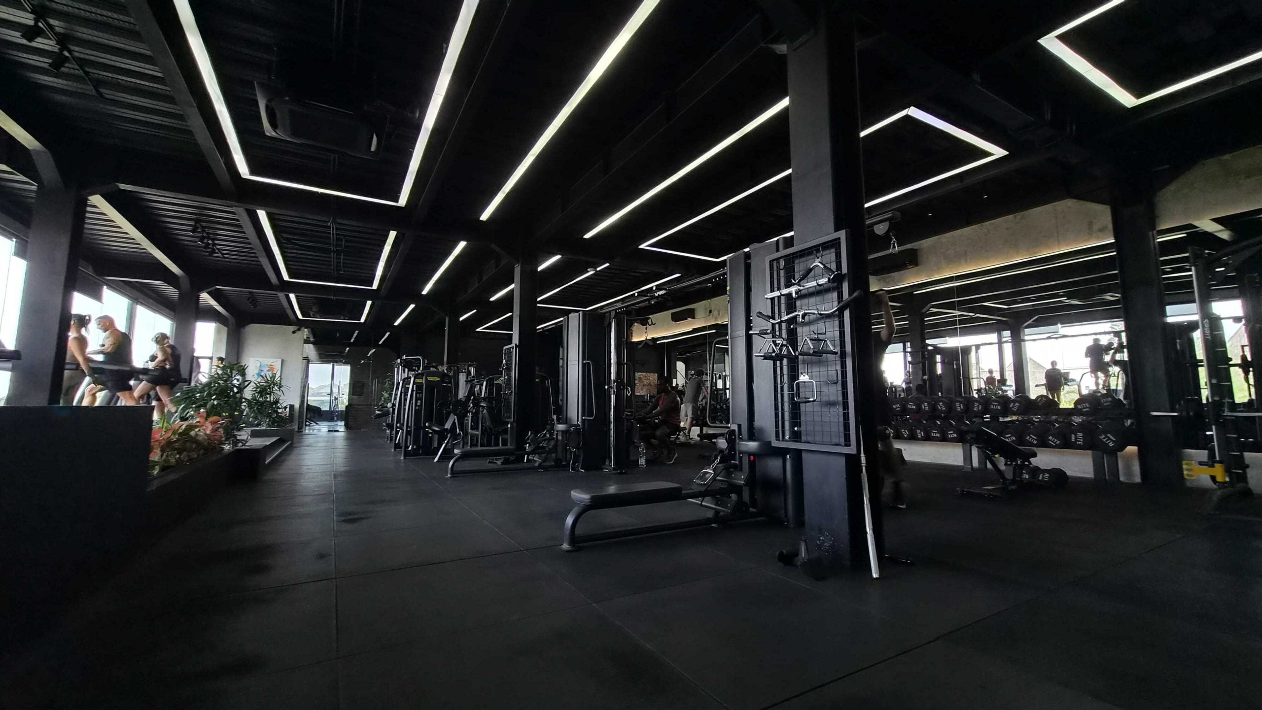 Inside Canggu’s $60-A-Day Fitness Arms Race